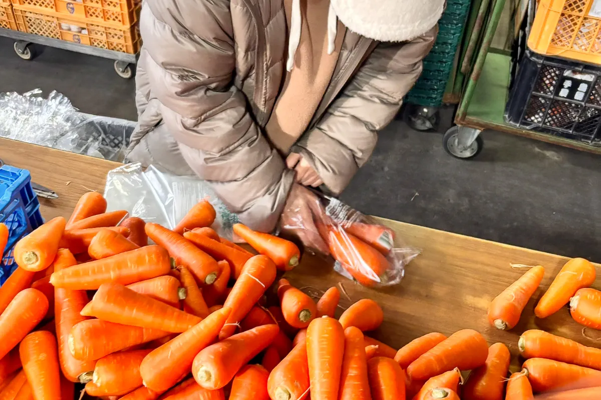 野菜工場での就労